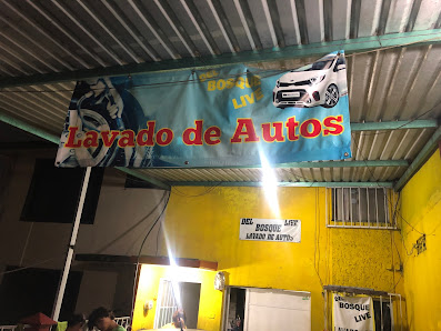 Dbl Detallado Automotriz